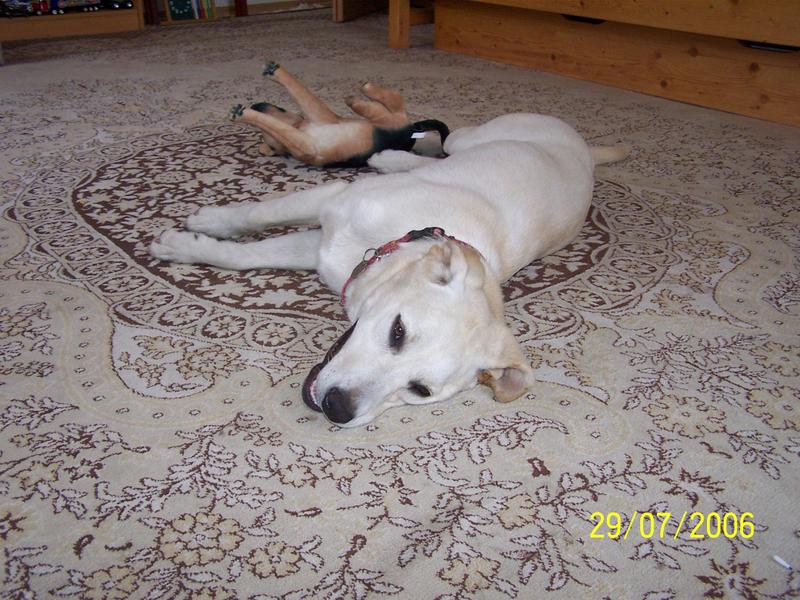 100_2639.jpg